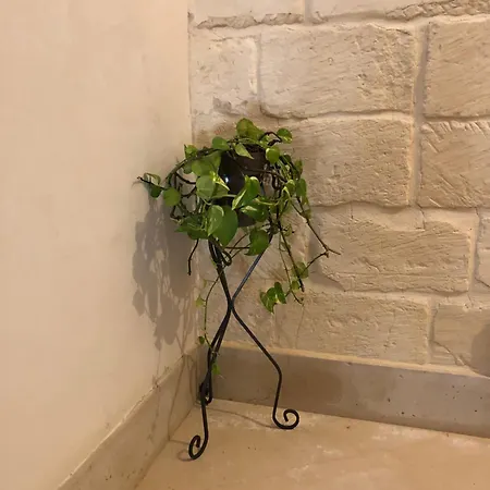 Mayu's House , Dimora Nel Centro Storico Di Casa vacanze Lecce