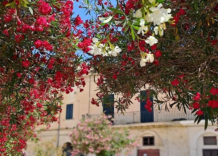 Mayu's House , Dimora Nel Centro Storico Di Vakantiehuis *