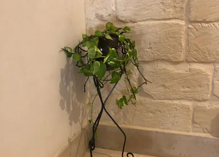 Mayu's House , Dimora Nel Centro Storico Di Casa de Férias Lecce